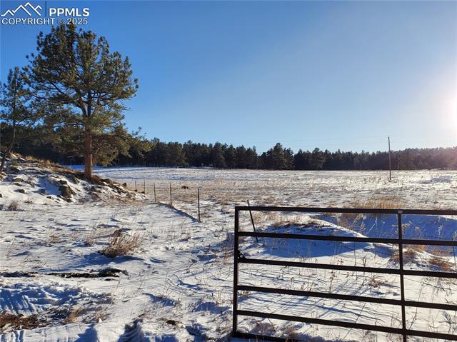 MLS Image for 182  Sioux  ,Florissant, Colorado