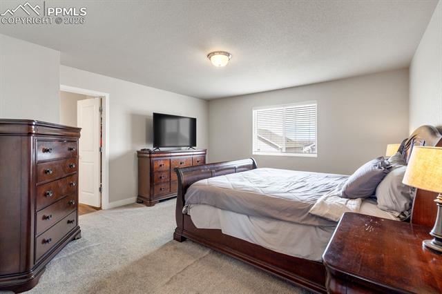MLS Image for 10384  Horton  ,Colorado Springs, Colorado