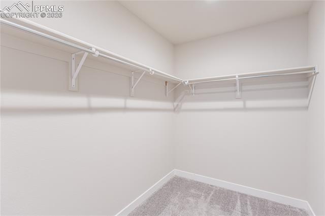 MLS Image for 10384  Horton  ,Colorado Springs, Colorado