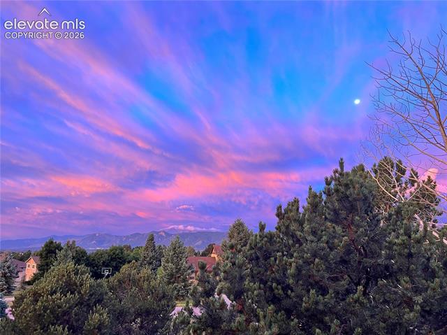MLS Image for 830  Lake Woodmoor  ,Monument, Colorado
