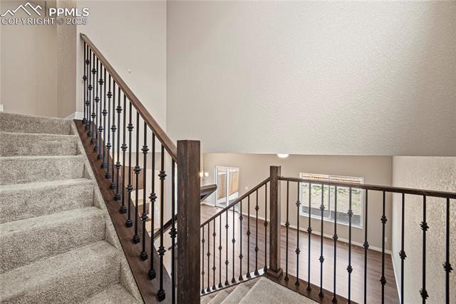 MLS Image for 11482  Whistling Duck  ,Colorado Springs, Colorado