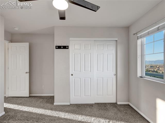 MLS Image for 7637  Buckeye Tree  ,Colorado Springs, Colorado