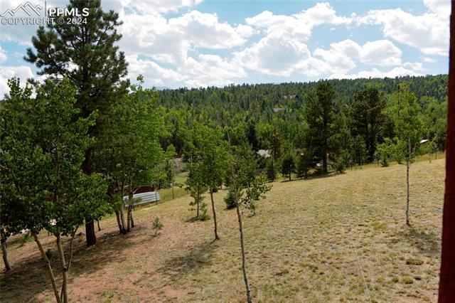 MLS Image for 460  Klitowya  ,Woodland Park, Colorado