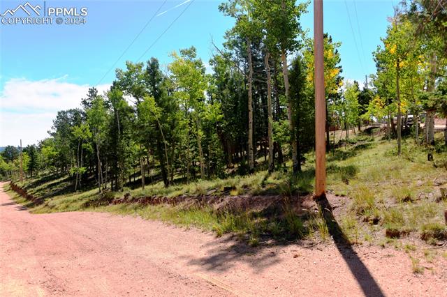 MLS Image for 460  Klitowya  ,Woodland Park, Colorado