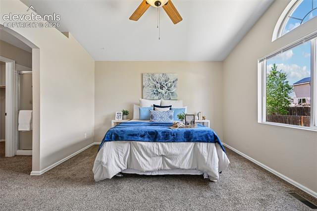 MLS Image for 7150  Allens Park  ,Colorado Springs, Colorado