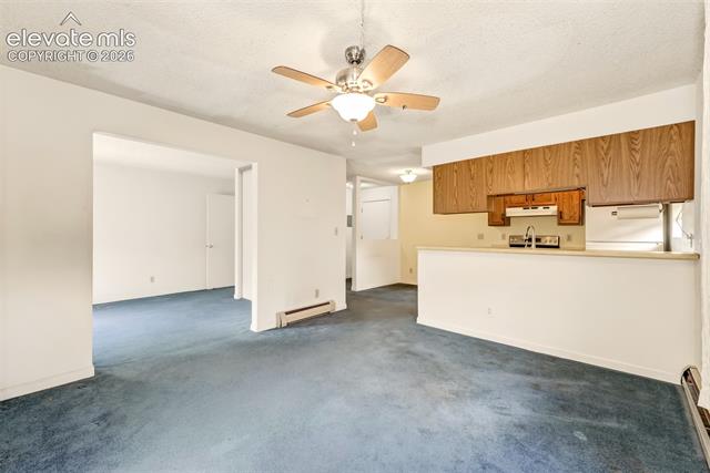 MLS Image for 2440  Palmer Park  E3 ,Colorado Springs, Colorado