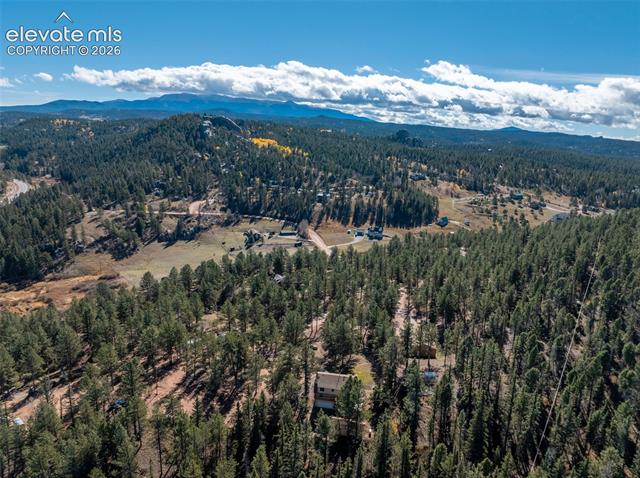 MLS Image for 457  Stonehenge  ,Florissant, Colorado