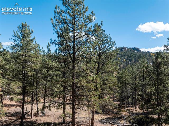 MLS Image for 457  Stonehenge  ,Florissant, Colorado