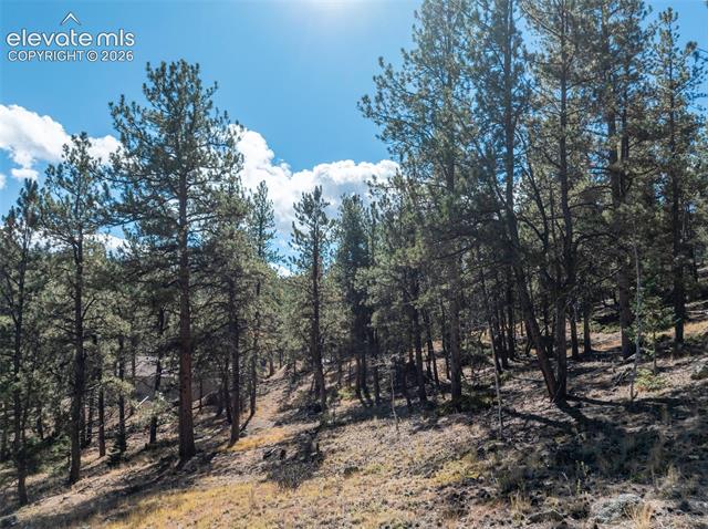 MLS Image for 457  Stonehenge  ,Florissant, Colorado