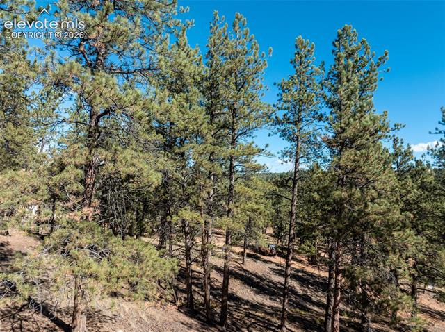 MLS Image for 457  Stonehenge  ,Florissant, Colorado