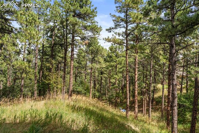 MLS Image for 17  Midland  ,Colorado Springs, Colorado