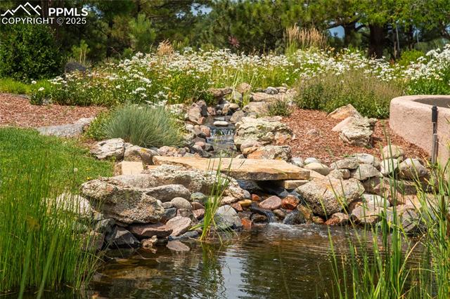 MLS Image for 11503 E Smith  ,Elbert, Colorado