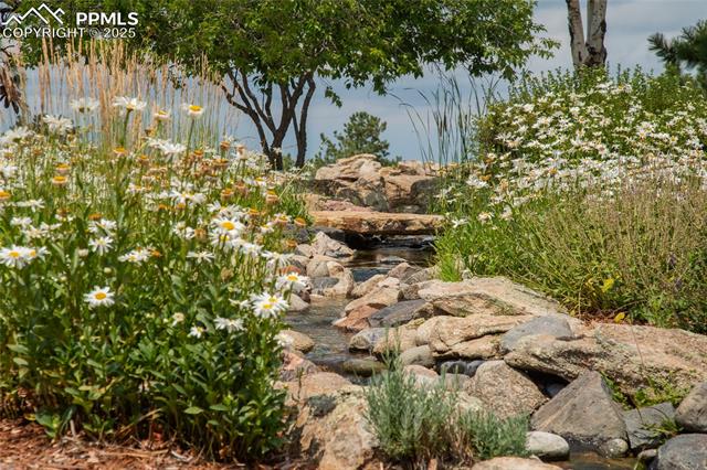 MLS Image for 11503 E Smith  ,Elbert, Colorado