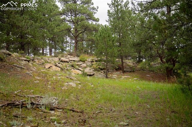 MLS Image for 11503 E Smith  ,Elbert, Colorado