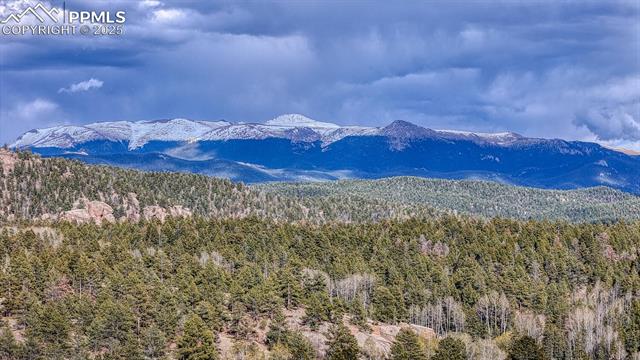 MLS Image for 318  Southgate  ,Florissant, Colorado