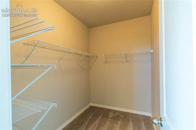 MLS Image for 4512  Samaritan  ,Colorado Springs, Colorado