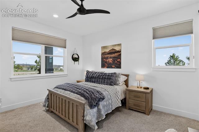 MLS Image for 3313  Bark Tree  ,Colorado Springs, Colorado