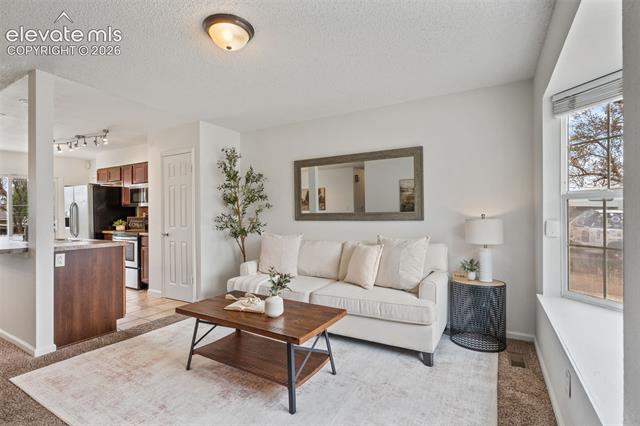 MLS Image for 1615  Baylor  ,Colorado Springs, Colorado