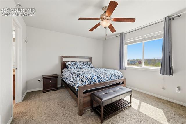 MLS Image for 9670  Silver Stirrup  ,Colorado Springs, Colorado