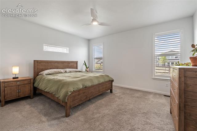 MLS Image for 4173  Captain Jack  ,Colorado Springs, Colorado