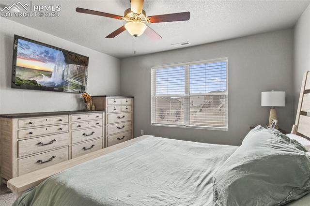 MLS Image for 5376  Sunday Gulch  ,Colorado Springs, Colorado