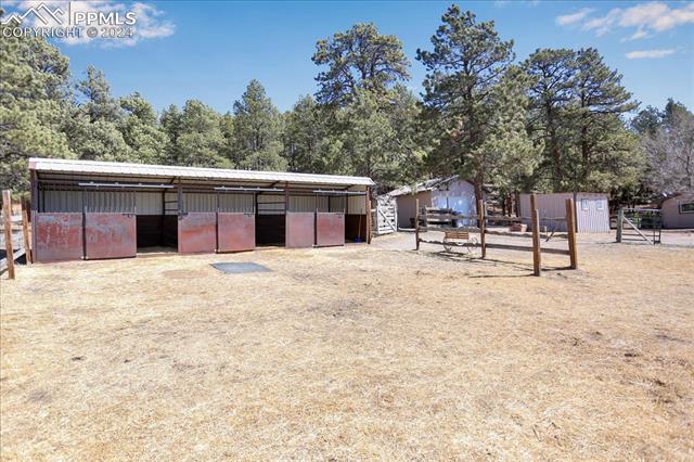 MLS Image for 4753  Puma  ,Elbert, Colorado