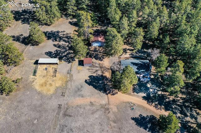 MLS Image for 4753  Puma  ,Elbert, Colorado