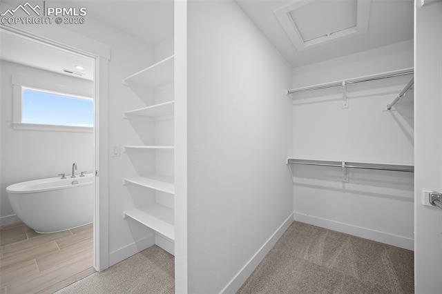 MLS Image for 337  Grand Summit  ,Monument, Colorado