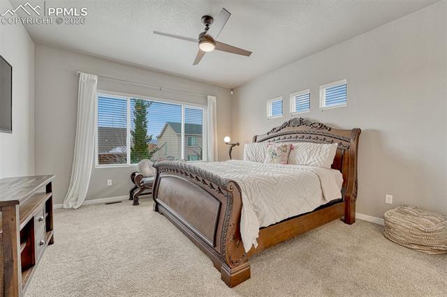 MLS Image for 6851  Mustang Rim  ,Colorado Springs, Colorado