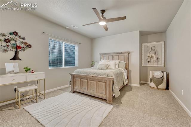 MLS Image for 6851  Mustang Rim  ,Colorado Springs, Colorado