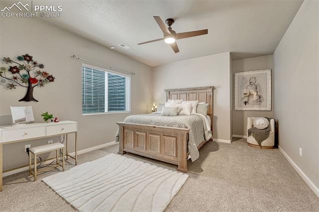 MLS Image for 6851  Mustang Rim  ,Colorado Springs, Colorado
