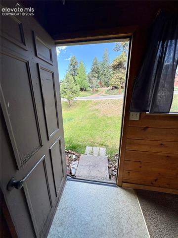 MLS Image for 207 E Lake  ,Woodland Park, Colorado