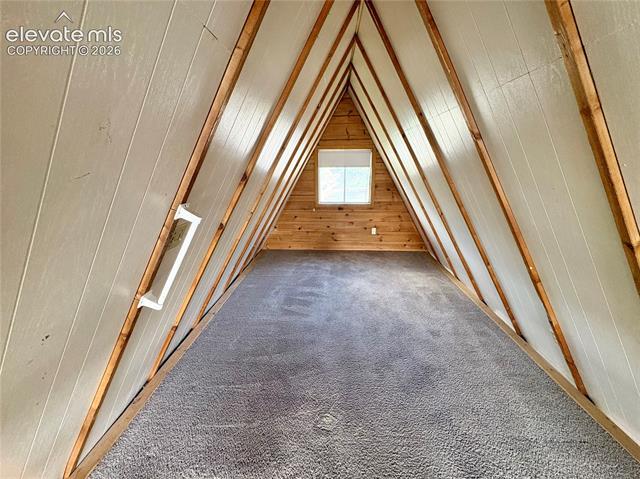 MLS Image for 207 E Lake  ,Woodland Park, Colorado