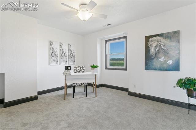 MLS Image for 16030  Alta Plaza  ,Peyton, Colorado