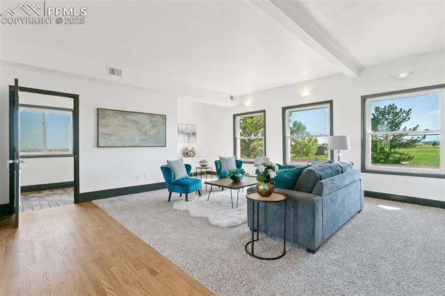 MLS Image for 16030  Alta Plaza  ,Peyton, Colorado