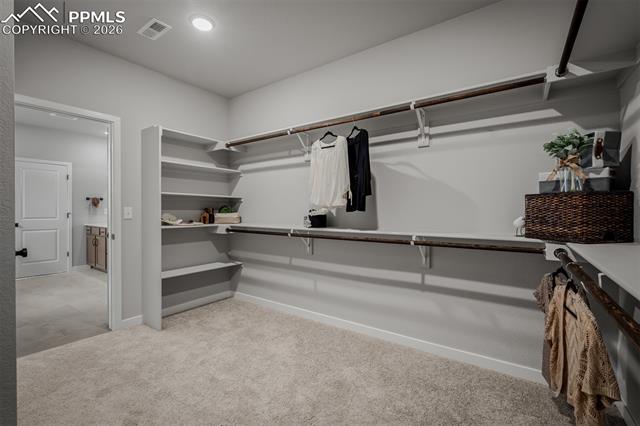MLS Image for 9236  Wolf Valley  ,Colorado Springs, Colorado