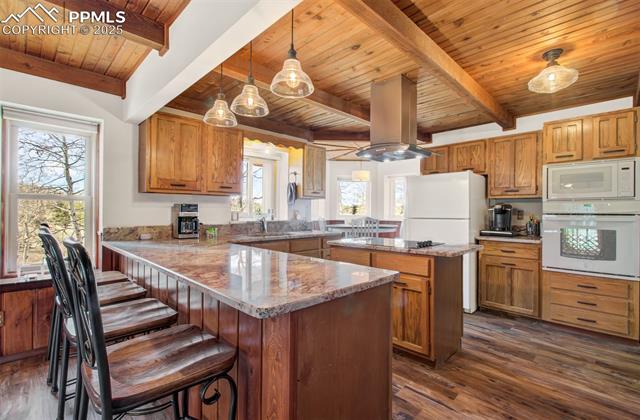 MLS Image for 749  Aspen Village  ,Divide, Colorado