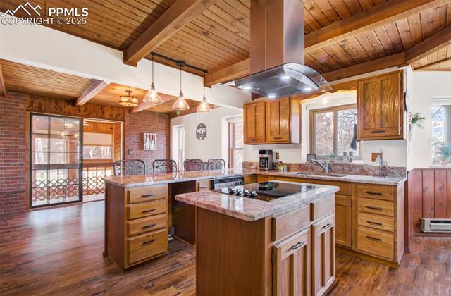 MLS Image for 749  Aspen Village  ,Divide, Colorado