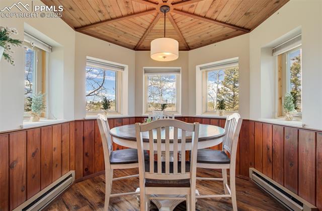 MLS Image for 749  Aspen Village  ,Divide, Colorado