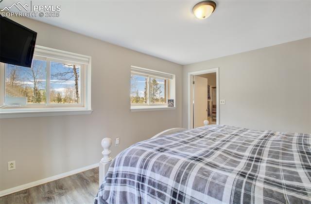 MLS Image for 749  Aspen Village  ,Divide, Colorado