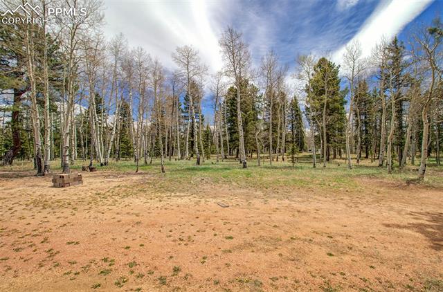 MLS Image for 749  Aspen Village  ,Divide, Colorado