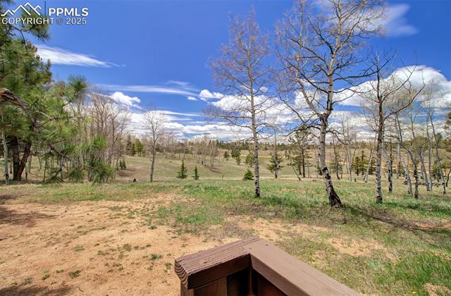MLS Image for 749  Aspen Village  ,Divide, Colorado