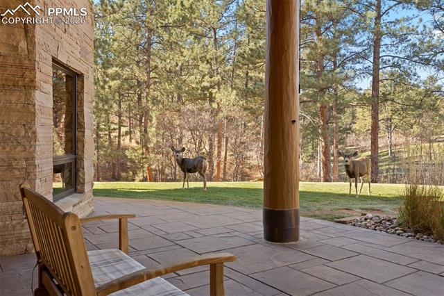 MLS Image for 6833  Yampa  ,Larkspur, Colorado