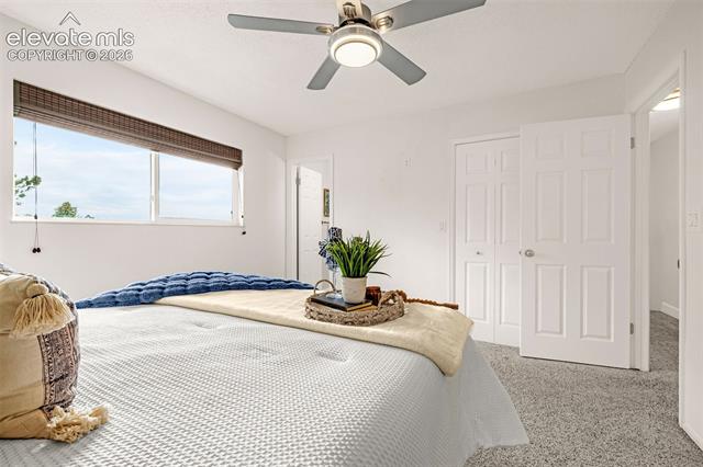 MLS Image for 5155  Bitterweed  ,Colorado Springs, Colorado