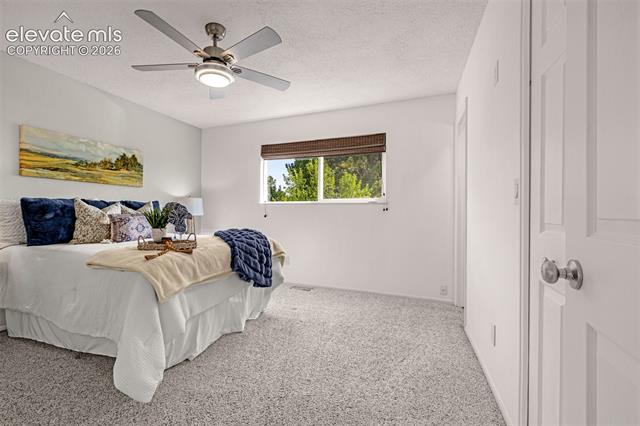 MLS Image for 5155  Bitterweed  ,Colorado Springs, Colorado