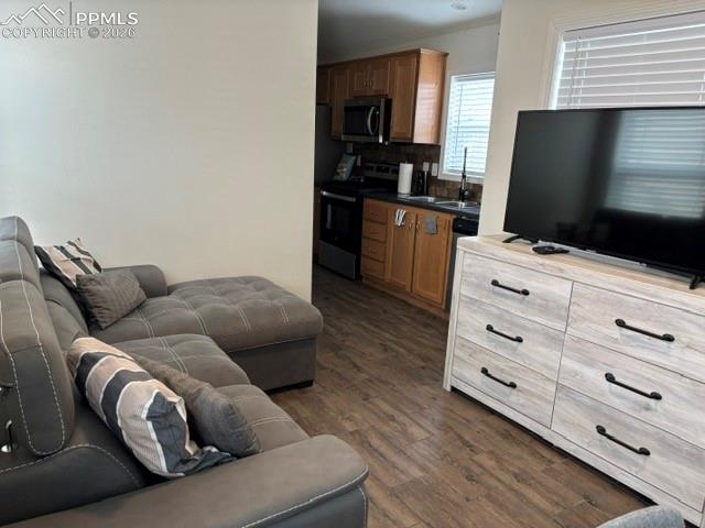 MLS Image for 1141  Calm Mountain  ,Woodland Park, Colorado