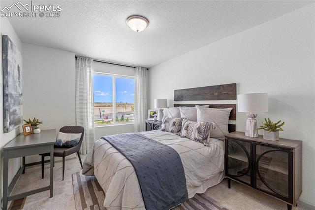 MLS Image for 9279  Oro City  ,Colorado Springs, Colorado