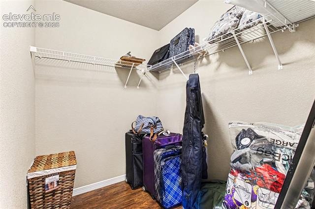 MLS Image for 10056  Castor  ,Colorado Springs, Colorado