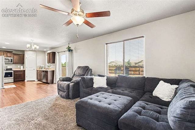 MLS Image for 10056  Castor  ,Colorado Springs, Colorado