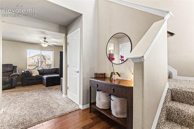 MLS Image for 10056  Castor  ,Colorado Springs, Colorado